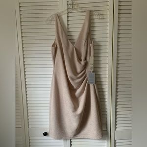 NWT Eliza J sleeveless dress - off white with silver thread